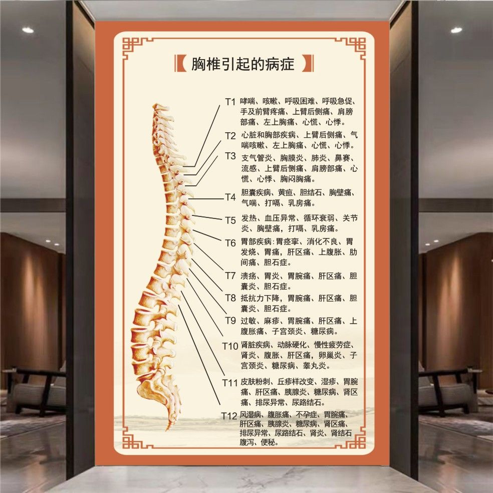 胸椎海报腰椎间盘突出颈椎病相关疾病示意图背景墙广告宣传画贴纸