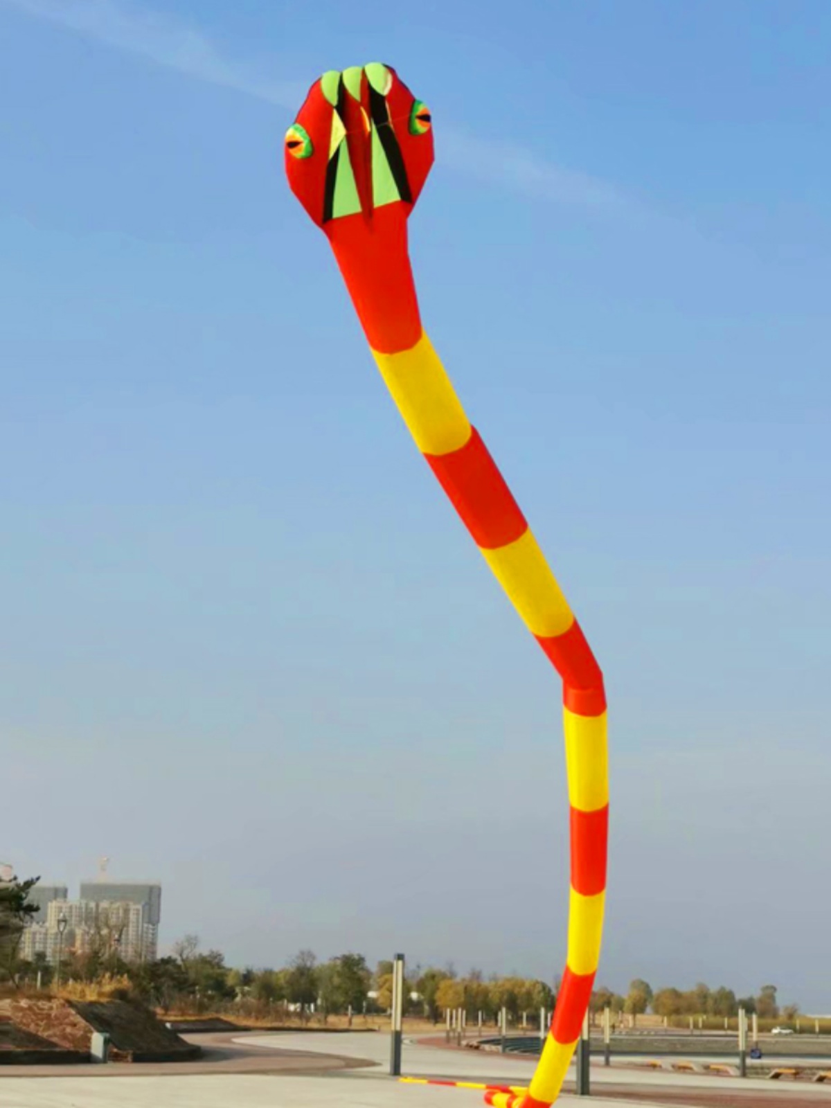 潍坊风筝新款伞布筒尾软体蛇风筝大型高档成人易飞无骨架荔华牌