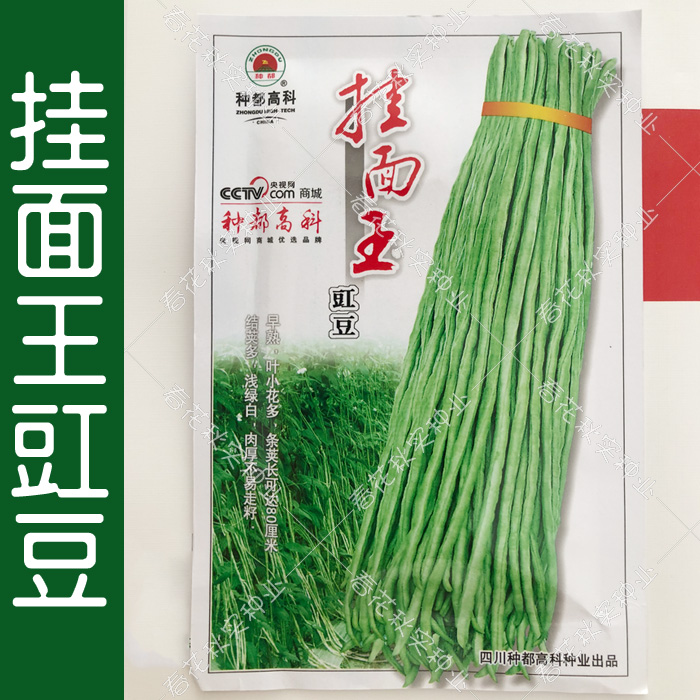 早熟挂面王豇豆豆角种子 春季秋季播蔬菜籽 肉厚绿白结荚多抗病孑