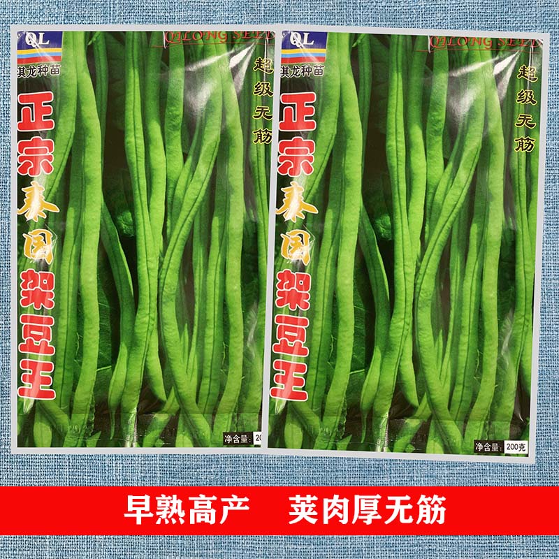 寿光蔬菜泰国架豆王种子芸豆菜豆四季豆青高产春季夏秋冬四季籽孑