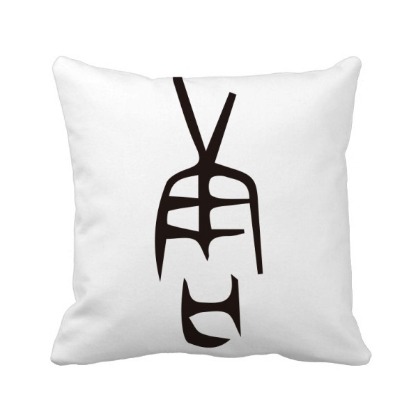 中国姓氏唐甲骨文形象方形抱枕靠枕沙发靠垫双面含芯礼物