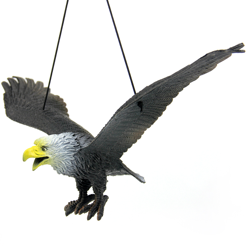 仿真老鹰模型软塑胶大飞鸟动物儿童玩具阳台吓鸟装饰道具猛禽挂饰