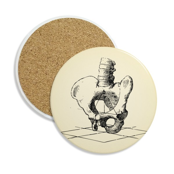 胯骨脊椎人体骨骼素描圆形陶瓷杯垫水杯隔热垫2片装礼物