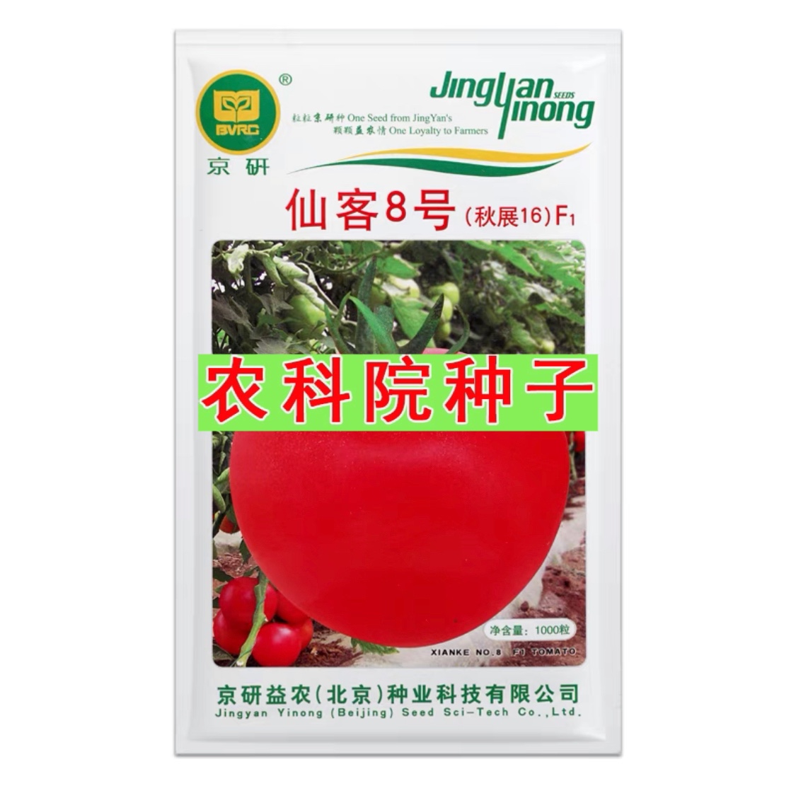 仙客8号大粉果番茄种子 抗线虫耐裂耐热北京农科院西红柿蔬菜种籽