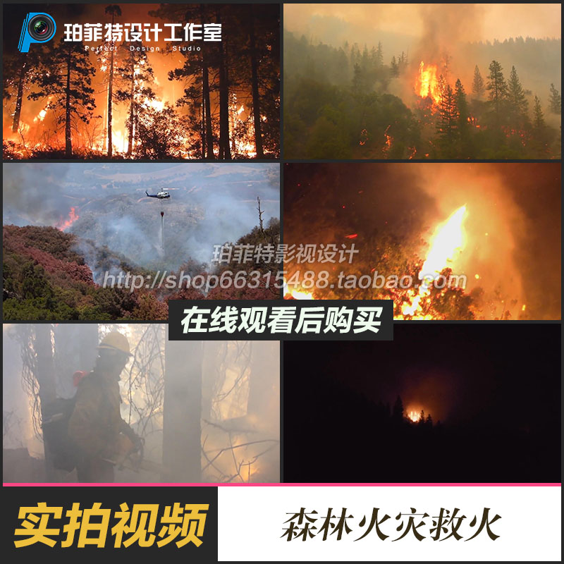 森林山火火灾自然火灾护林员灭火火灾安全浓烟滚滚实拍视频素材