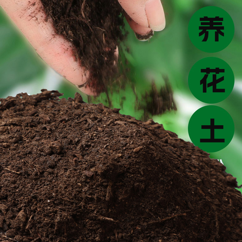 纯泥炭土绿色自然通用腐殖土营养土黑土种花土种植土花土腐叶泥土