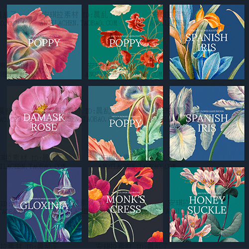复古Vintage花园手绘花卉花朵植物海报封面画芯eps设计素材图