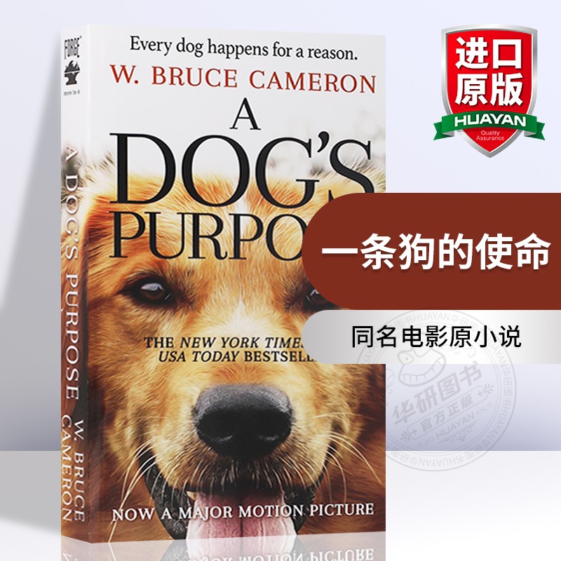 一条狗的使命 英文原版小说 A Dog s Purpose 同名电影 进口英语原版书籍 忠犬八公导演执导 搭一只名叫鲍勃的街头流浪猫