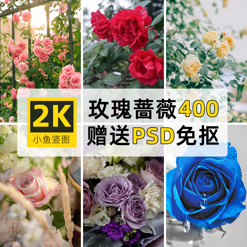 高清竖图片2K蔷薇玫瑰花卉花朵花艺束手机壁纸自媒体PS抖音4K素材