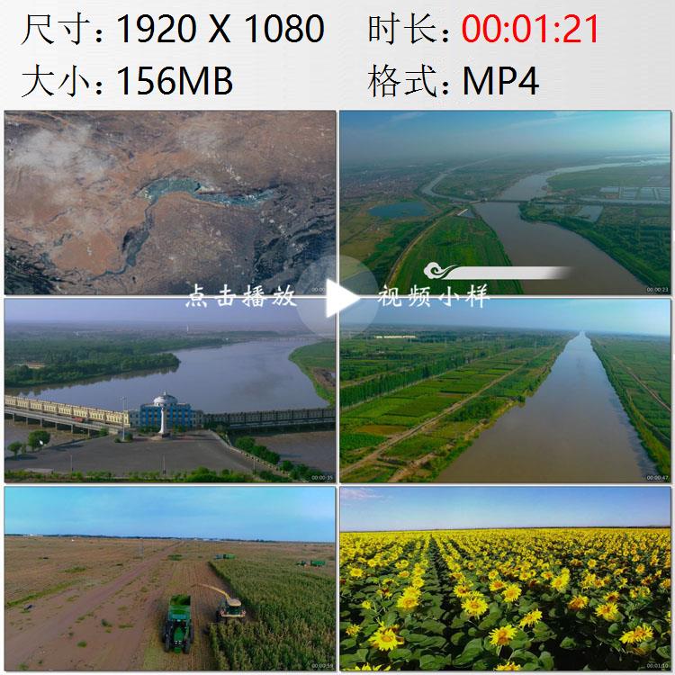 航拍内蒙古河套平原三盛公黄河水利枢纽农业生产向日葵视频素材