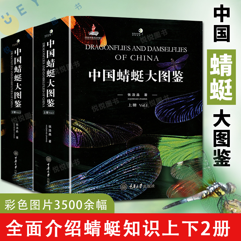 中国蜻蜓大图鉴上下册中国蜻蜓物种种类的彩色图鉴 蜻蜓知识档案书 介绍蜻蜓知识的大型图书科学探索蜻蜓鉴定识别图鉴