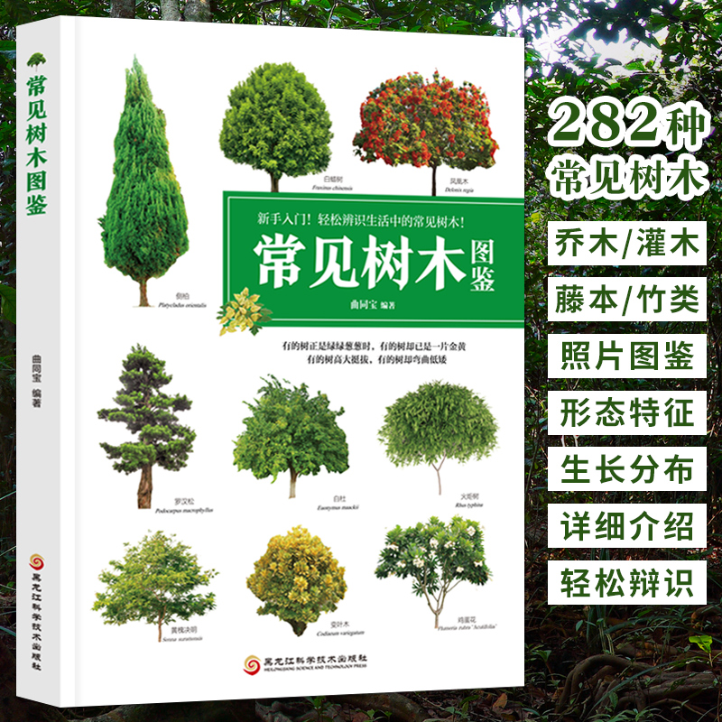 常见树木图鉴 植物图鉴书籍大全 小学生植物百科全书青少年版中国常见植物野外识别手册给孩子们的植物书 关于中国植物的科普书籍
