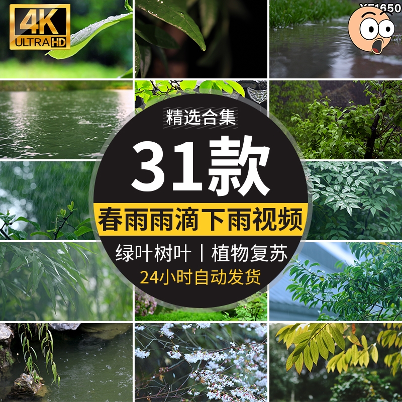 春雨雨滴下雨树叶绿叶清新绿色植物叶子雨水唯美意境春天视频素材