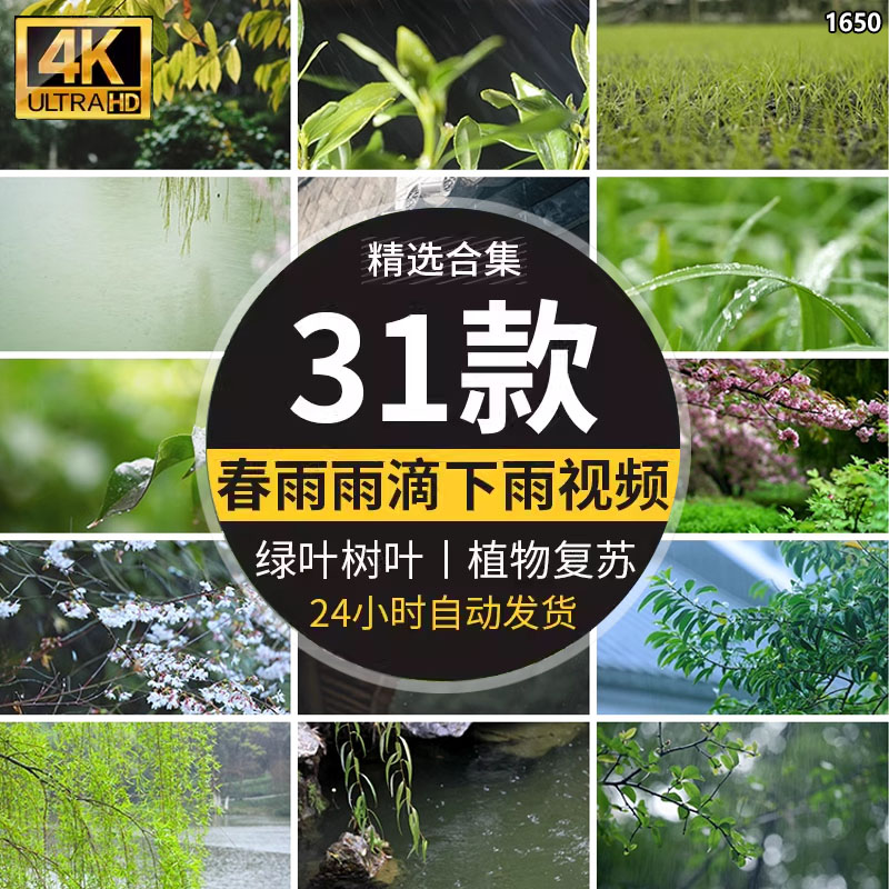 春天春雨滴下雨水树叶绿叶小清新绿色植物唯美意境自然景视频素材