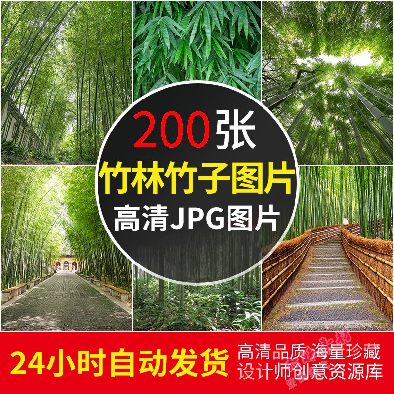 4K高清竹林竹子图片竹叶绿色植物仰拍摄影2K手机电脑壁纸JPG素材