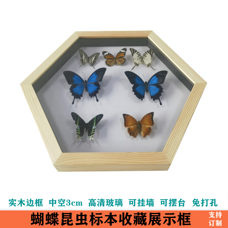 实木蝴蝶标本相框六边形全新设计昆虫标本保存中空相框干花框摆台