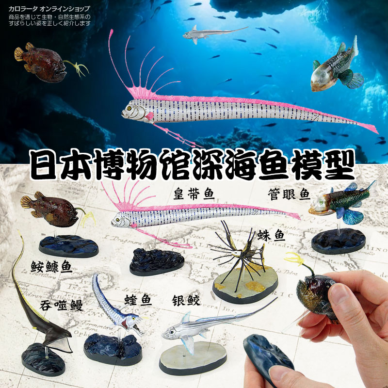 日本Colorata原装正品深海鱼博物馆皇带鱼可怕海底生物收藏模型