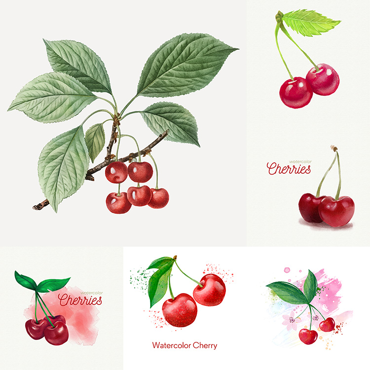 手绘樱桃 彩绘车厘子水果成熟果实插画背景 AI格式矢量设计素材
