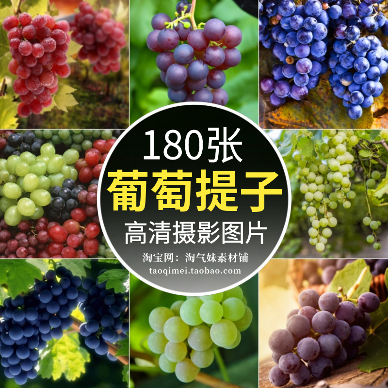 高清JPG葡萄提子图片红提黑加仑果园新鲜水果店宣传背景摄影素材