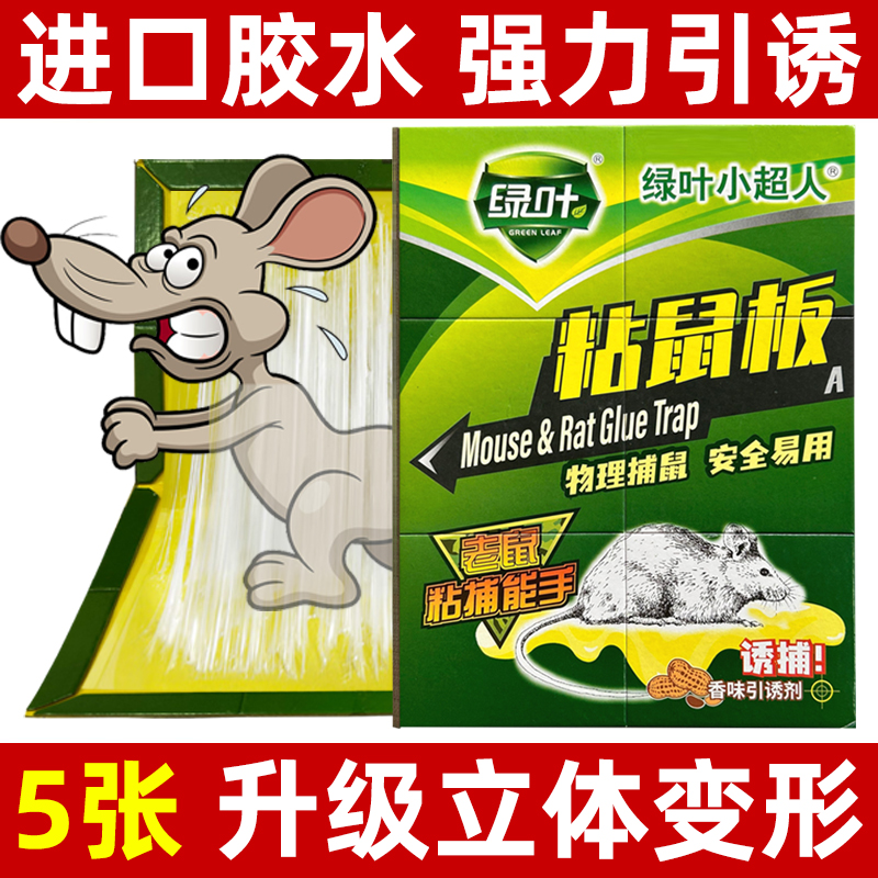 绿叶超强力粘鼠板硬厚老鼠贴胶灭老鼠夹灭鼠器家用捕鼠器加大加厚