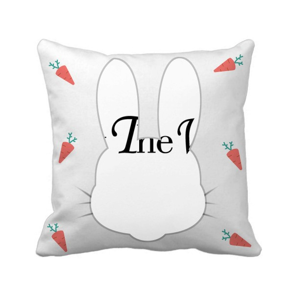 顺便说一下英语短语兔子方形抱枕靠枕沙发靠垫双面含芯礼物