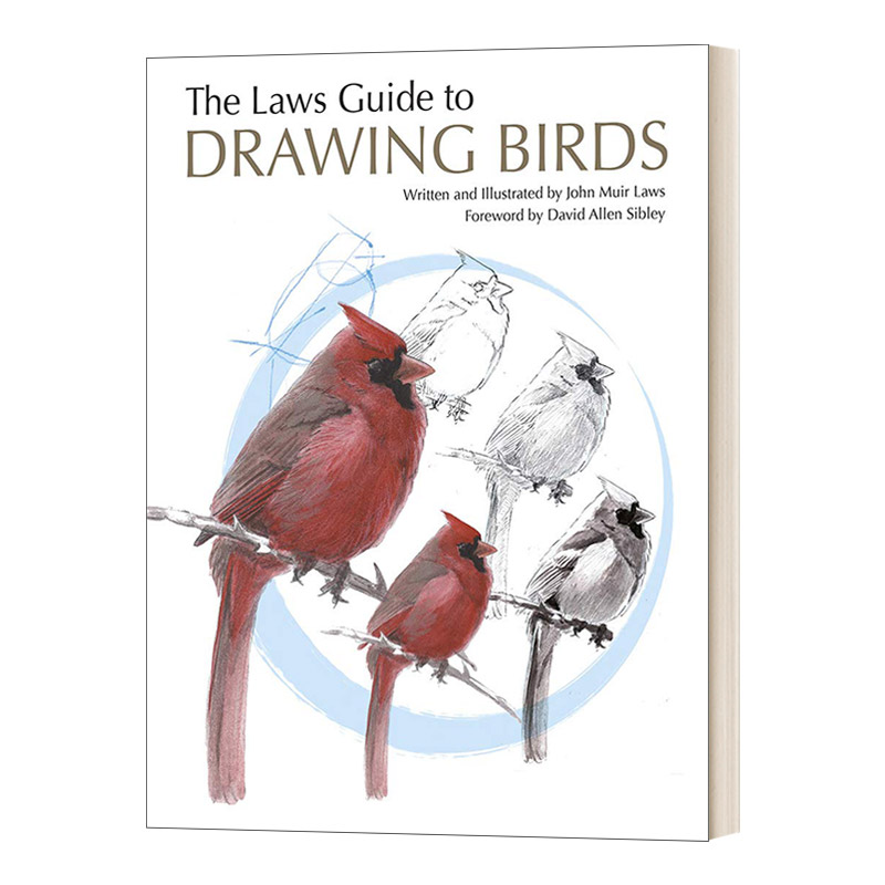 英文原版 The Laws Guide to Drawing Birds 鸟类绘画的第一堂课 美国自然学家约翰劳斯赏鸟与画鸟指南 John Muir Laws 进口英语书