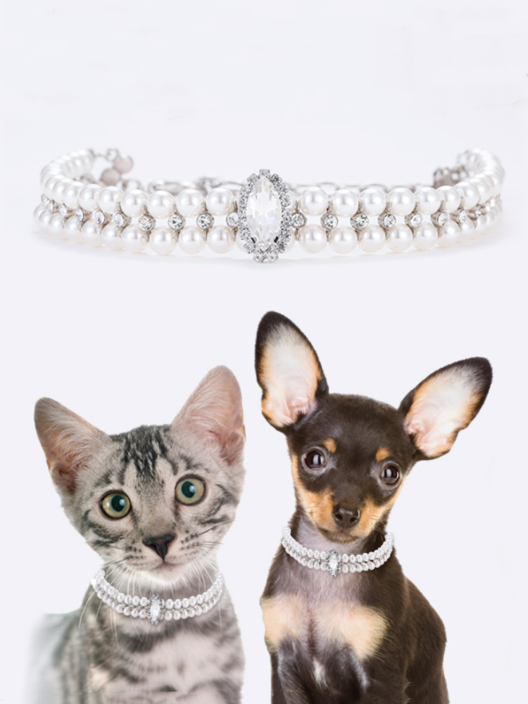 宠物狗狗猫咪项圈项链饰品挂饰钻珠串珠珍珠时尚比熊小猫通用白色