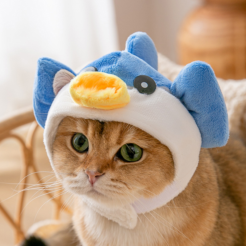 网红小猫咪俏皮可爱宠物头套搞笑搞怪头饰布偶猫蓝猫帽子装扮用品