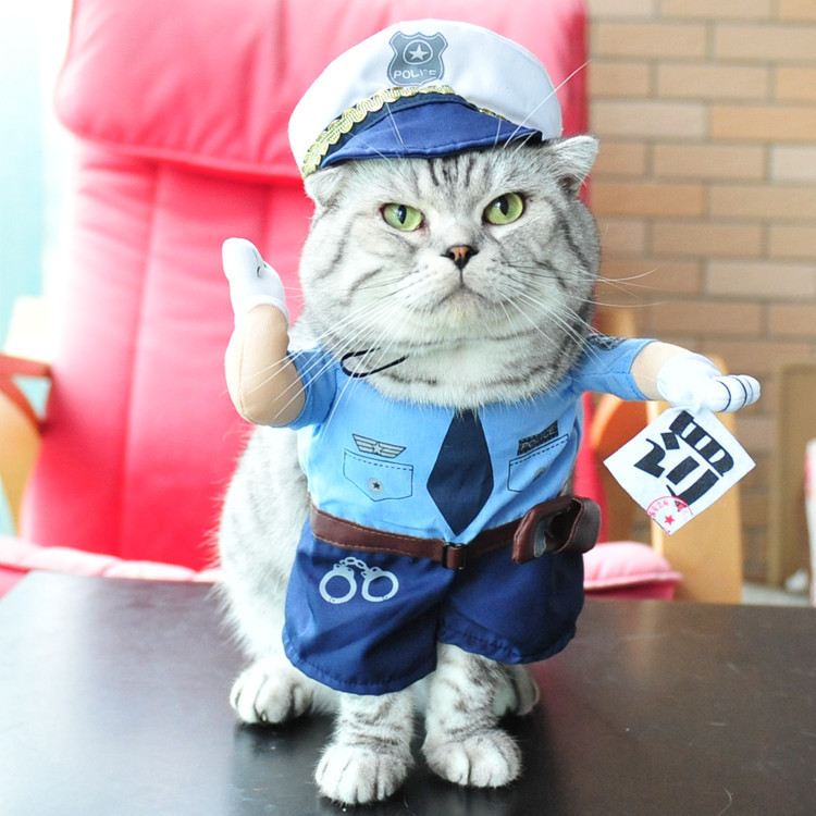 搞怪宠物衣服变身装泰迪夏季猫咪服装小型犬布偶英短蓝猫搞笑拍照