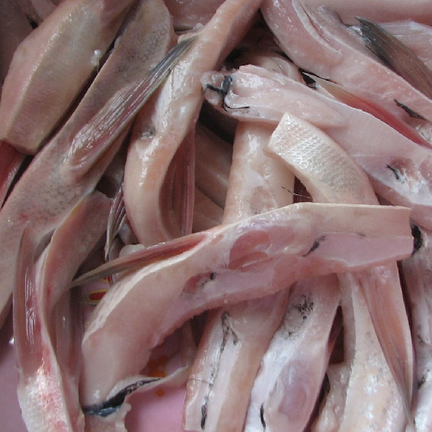 白鲢鱼肚皮鱼腩鱼腹划水袋装微山湖食用生鲜水产分割鱼