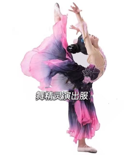 桃李杯古典舞原版《爱莲说》演出服女飘逸中国风独舞民族舞蹈服装