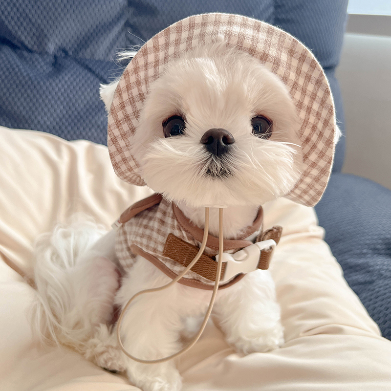 马尔济斯专用衣服牵引绳带帽子小狗狗胸背式遛狗绳子小型幼犬用品
