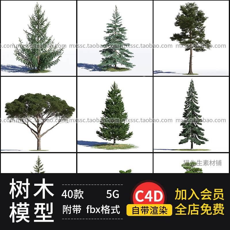 40组C4D树木 针叶 松柏 沙树 模型素材带贴图 附带bj fbx max格式