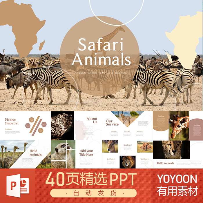 非洲草原热带地区动物长颈鹿狮子鸵鸟环境保护大自然斑马PPT模板
