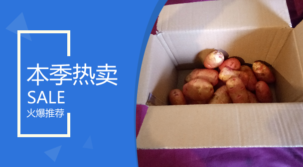 重庆四川城口高山农家自种新鲜土豆马铃薯5斤包邮