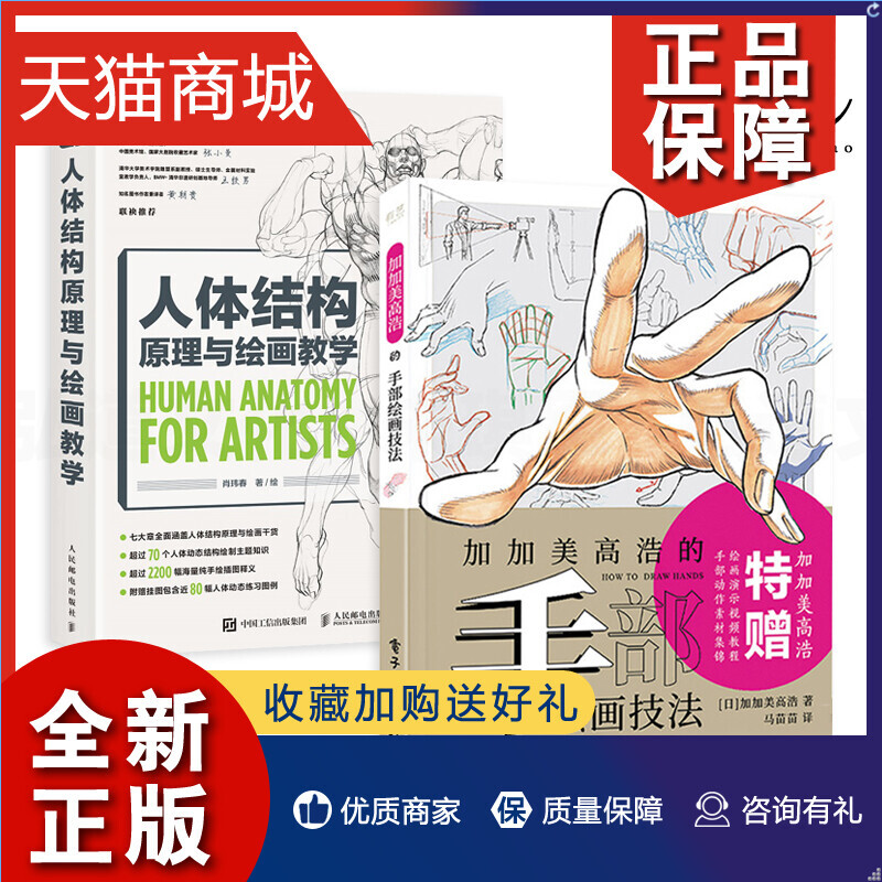 正版 2册 人体结构原理与绘画教学+加加美高浩的手部绘画技法 人体构造姿势着装动作设定集 游戏动漫人物 形态分析 素描 艺用人体
