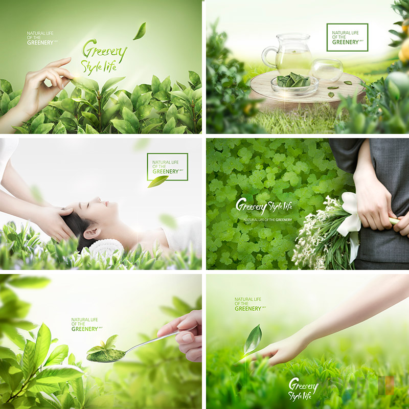 清新绿茶自然健康茶叶身体护理海报背景psd分层设计素材101708