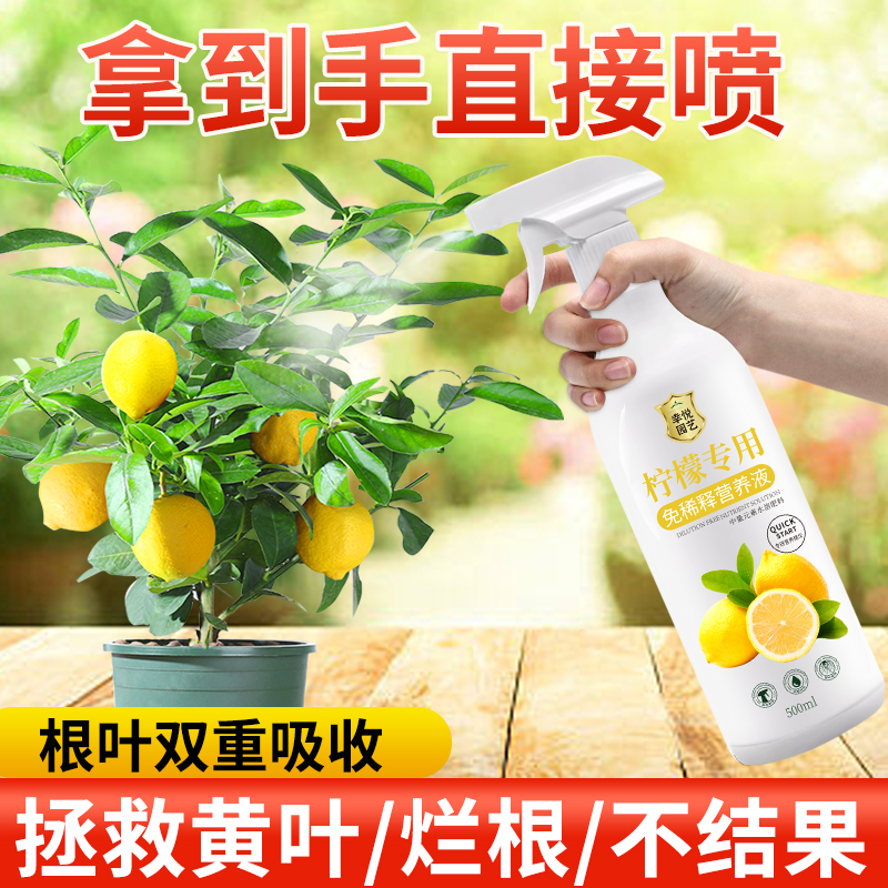 香水柠檬树肥料专用肥柠檬树营养液免稀释叶子发黄干枯盆栽植物花