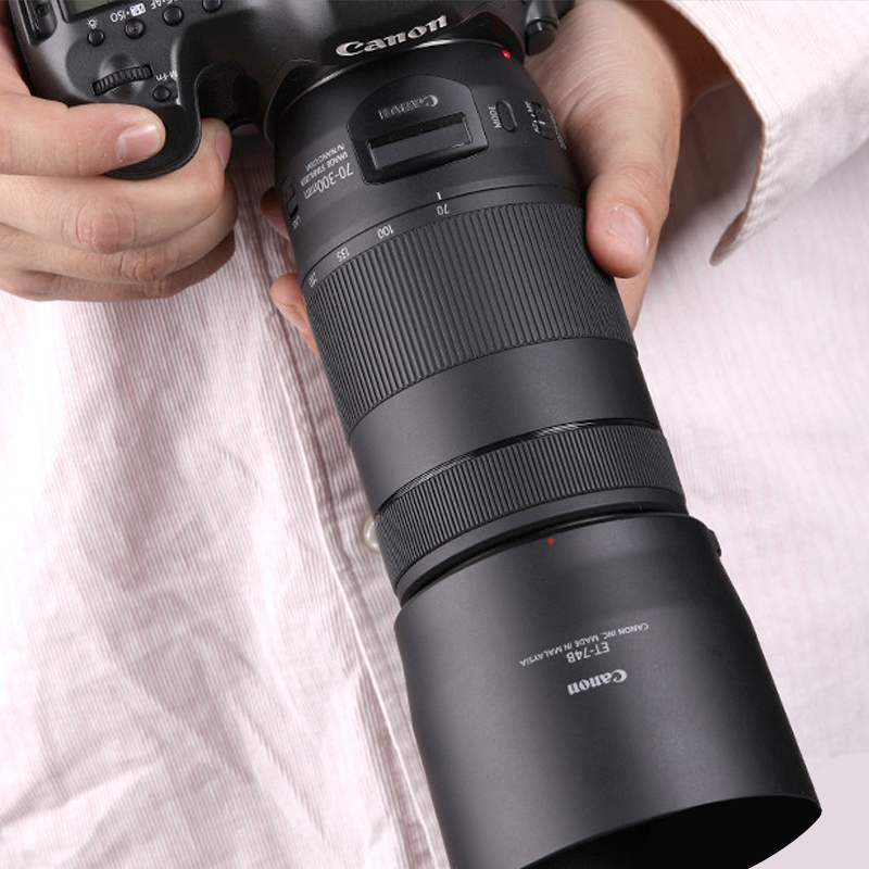 佳能 EF 70-300mm f/4-5.6 IS USM 二代长焦防抖镜头远摄打鸟神器