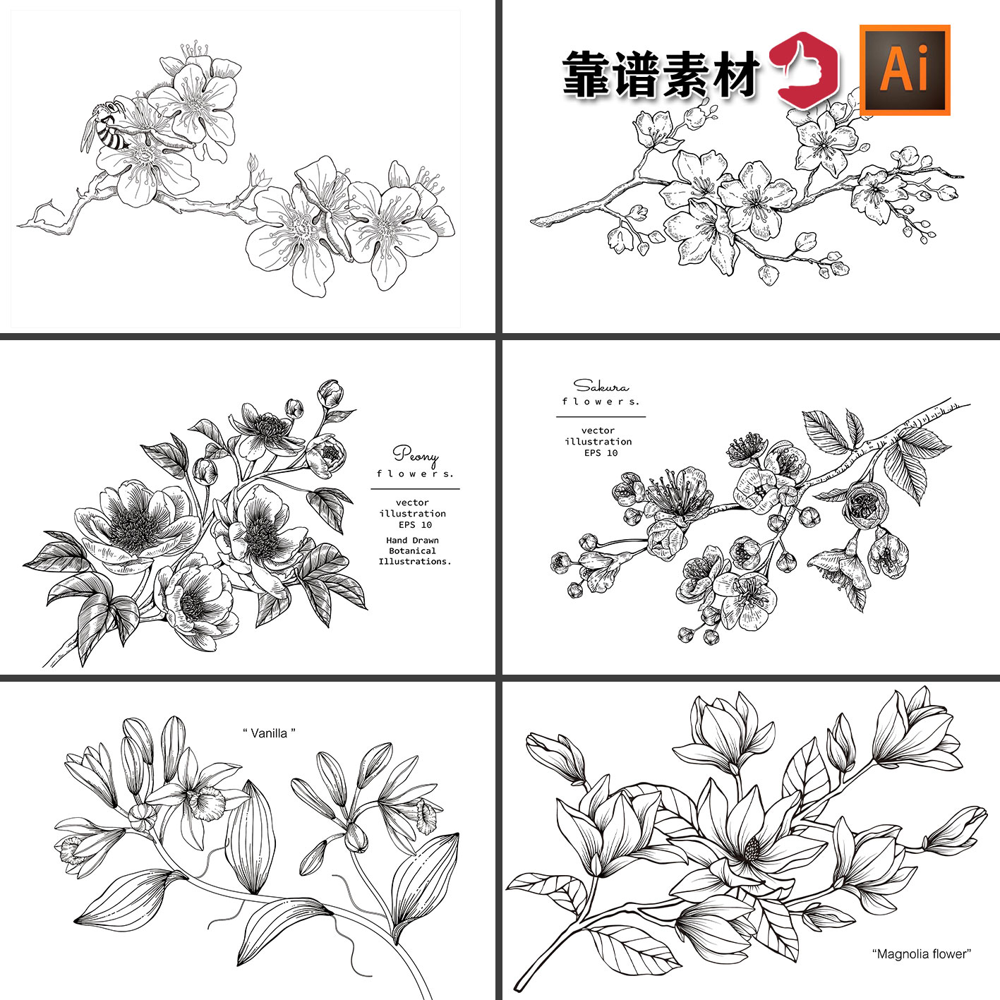 黑白描边线条线描玉兰花牡丹花鲜花花朵装饰画AI矢量设计素材
