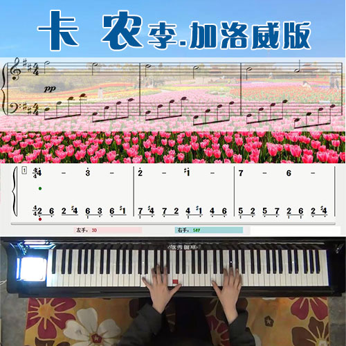 卡农李.加洛威(LEE GALLOWAY)版五线谱简谱钢琴教学课程 悠秀