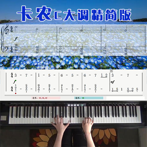 卡农C大调精简版五线谱简谱钢琴教学课程 悠秀
