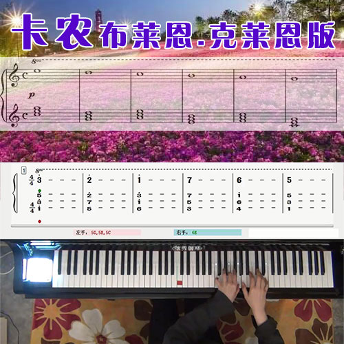 卡农布莱恩-克莱恩(BRAIN CRAIN)版五线谱简谱钢琴教学课程 悠秀