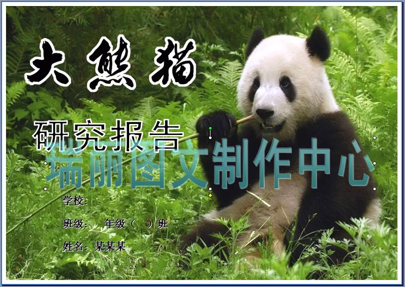 大熊猫研究报告电子小报成品珍稀动物手抄报保护动物模板板报951