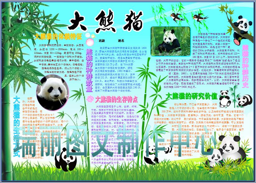 大熊猫珍稀动物电脑手抄报保护稀有动物电子小报成品模板报040