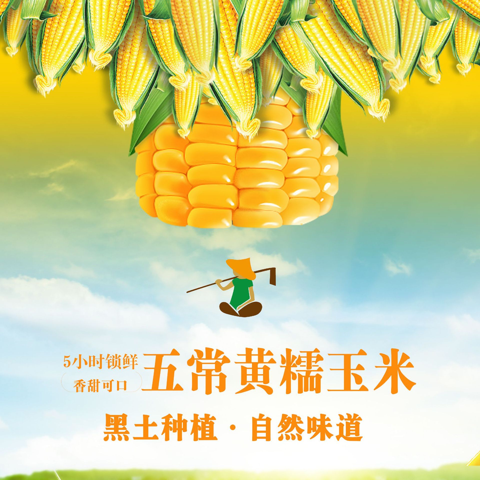 黄糯玉米2023东北玉米新鲜糯玉米黏玉米甜糯玉米真空装鲜食玉米