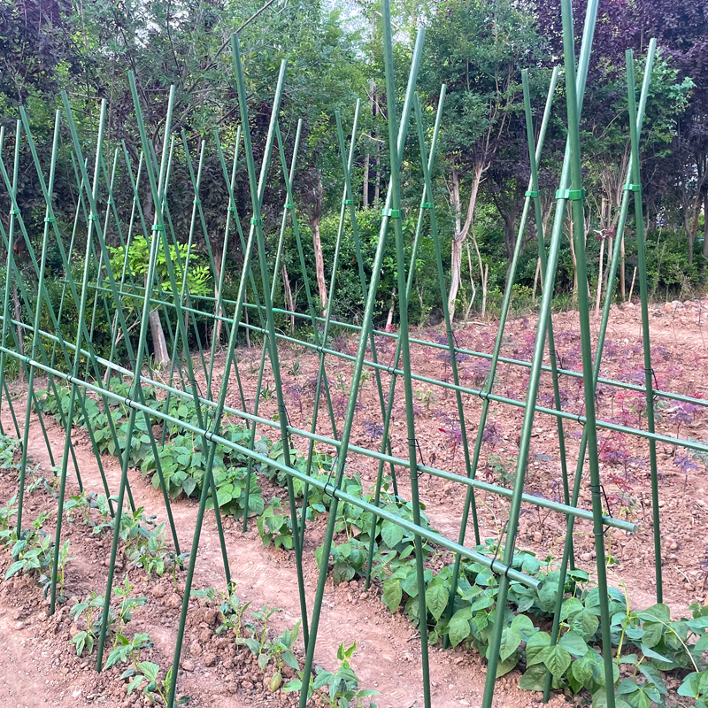 豆角架黄瓜架四季豆爬藤支撑架菜园菜架子种菜种植蔬菜架杆搭支架