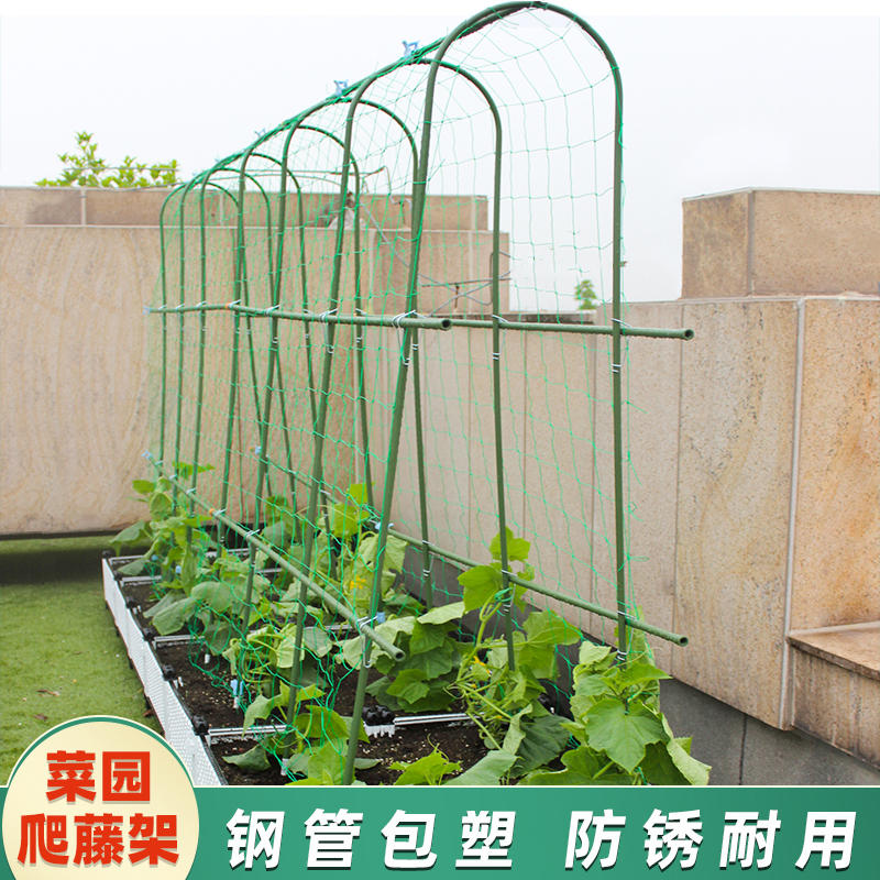 黄瓜爬藤架豆角架杆蔬菜棚西红柿架种菜农用拱棚爬架搭架子种植箱