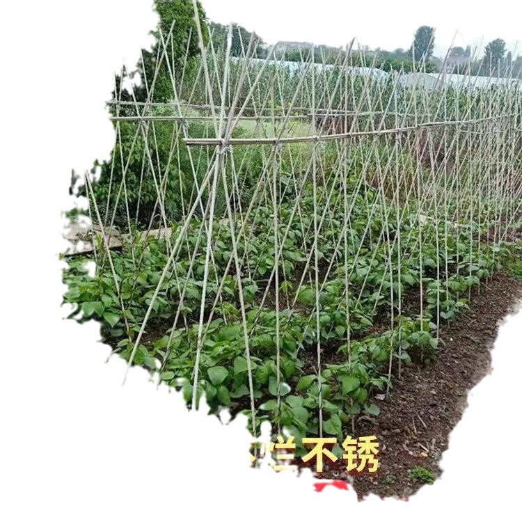 新一百根豆角架黄瓜架种菜育苗杆葡萄避雨棚杆玻纤维架子种菜搭销