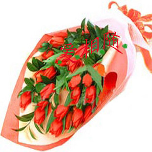 鲜花速递上海生日祝福爱人花束红色郁金香19朵季节性花卉送花